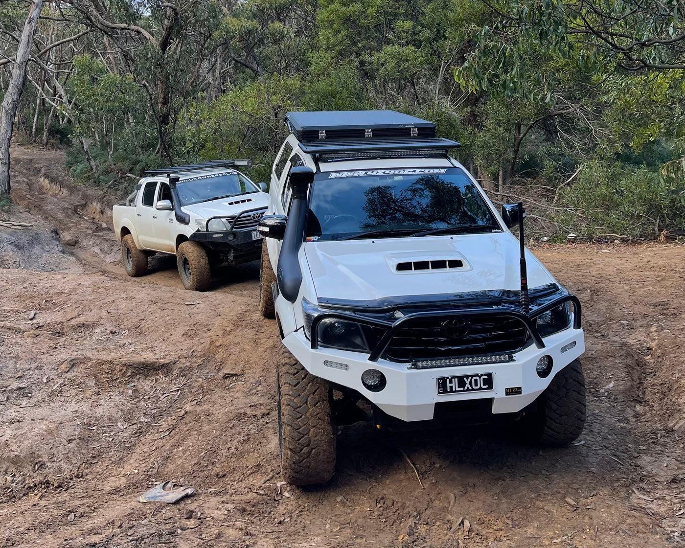 Exploring Anglesea - The Otways: A Guide to 4WD Tracks and Camping Adventures