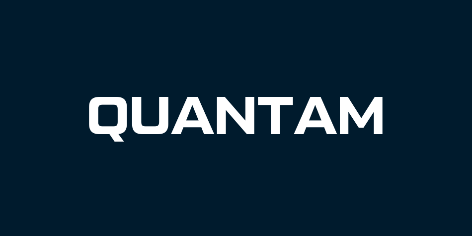 Toyota Quantum